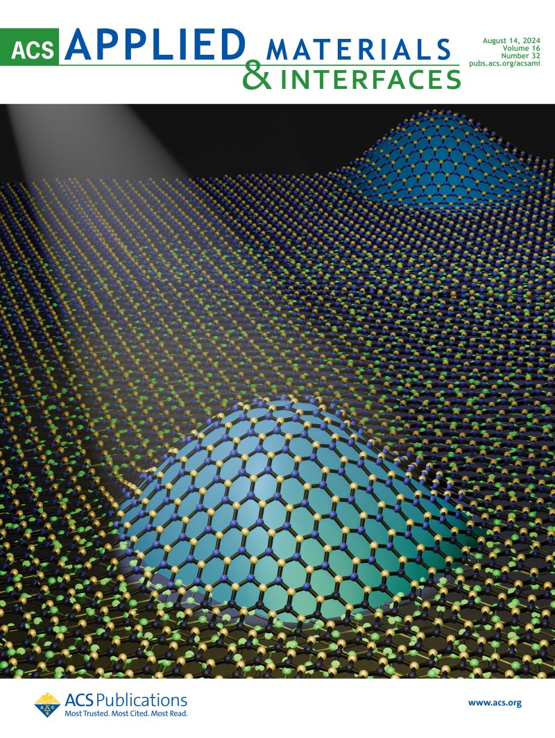 ACS Applied Materials Interfaces cover